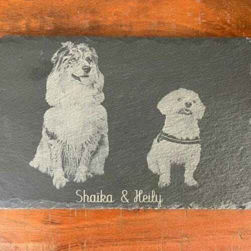 Ardoise gravée avec photo de chien