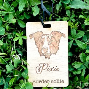 Carte D’Identité En Bois recto Border collie