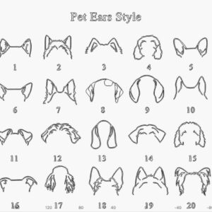 Détail pack chien