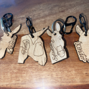 Médaillon à l'effigie des ânes