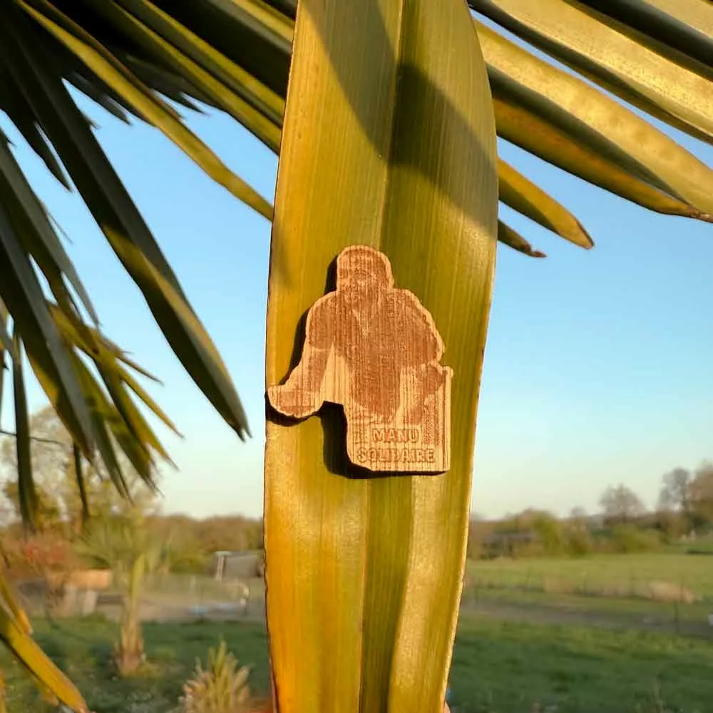 Manu solidaire pins